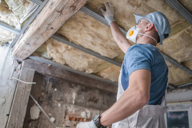 Best Residential Insulation in Buckhannon, WV